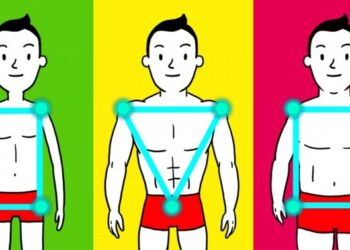 Ilyen edzésre van szükséged a testalkatod alapján