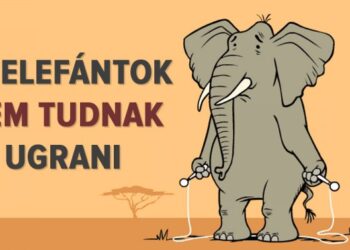 14 érdekes tény az állatvilágról, amelyet talán sosem gondoltunk volna magunktól