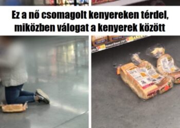 19 alkalom, mikor az emberek totálisan ledöbbentek azon, hogy mekkora s*ggfejjel sikerült összefutniuk