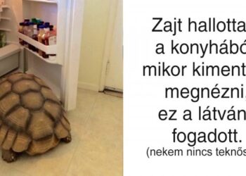 20 személy, akit nem mindennapi látvány fogadott ébredéskor