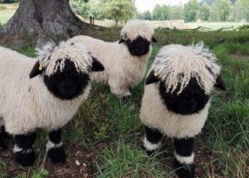 18 fénykép, amely bizonyítja, hogy a világ még rengeteg csodát tartogat számunkra