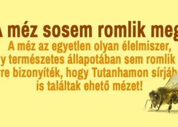 21 lebilincselő tény az emberiségről és a közvetlen környezetünkről