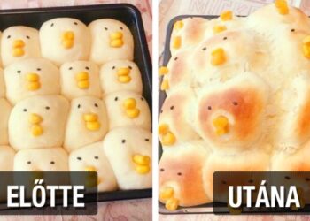 20 személy, akit nem lenne szabad a konyha közelébe engedni