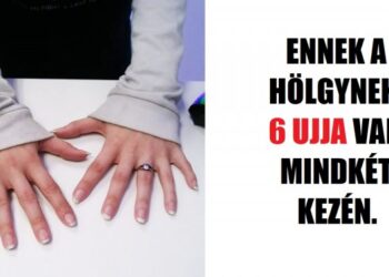 20 alkalom, mikor az emberek valami nagyon kivételeset fényképeztek le, és megosztották a képeket a világgal