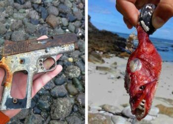 21 furcsa dolog, amelyre a vízparton sétálgatva bukkantak az emberek