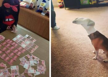 20 eszement dolog, amelyre csak egy egyedül hagyott kisgyerek képes