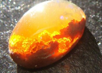 21 bámulatos fénykép, amelyet kétszer is meg kell néznünk ahhoz, hogy megértsük mit ábrázol