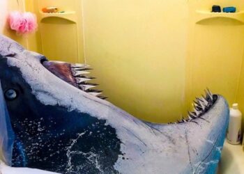 18 szobatárs, aki mellett véget nem érő kaland és fájdalom az élet