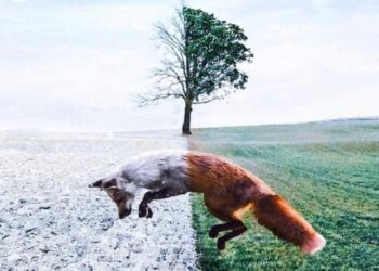 20 lenyűgöző kép, egy csipetnyi képzelőerővel fűszerezve