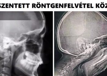 19 fotó, mely igazolja, hogy néha még a egészen hétköznapi dolgok is összezavarhatnak bennünket