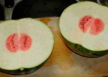 A 20 legkiábrándítóbb dolog, amely egy élelmiszerrel történhet