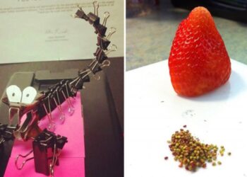 21 ember, akit emberfeletti dolgokra késztetett az unalom