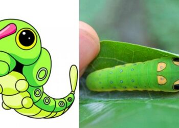 11 Pokémon, amelyet mintha valóságban is létező állatról mintáztak volna