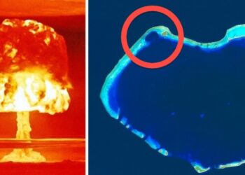 10 fatális véletlen, mely az egész emberiség történelmére nagy hatással volt