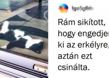 18 érzelmes felvétel azoktól, akik tudnak egy-két dolgot a drámáról