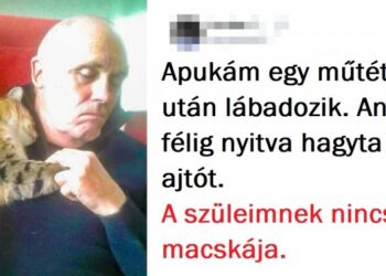 23 kép, mely bebizonyítja, hogy minden családnak szüksége van egy háziállatra