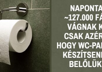 21 érdekes tény, amelyektől valószínűleg neked is le fog esni az állad