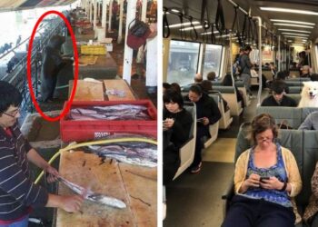 21 fénykép, melyen egytől-egyig elrejtőzött valami oda nem illő. Képes vagy leleplezni őket?!