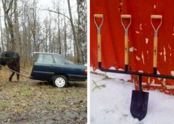 20 felvétel, amely remekül tükrözi az emberi kreativitás határtalanságát