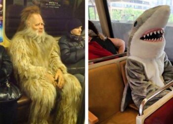 20 fénykép, mely bebizonyítja, hogy a tömegközlekedés mindig képes meglepetéseket okozni