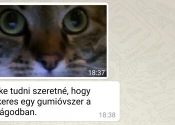 21 anyuka, aki mellett véget nem érő nevetés az élet