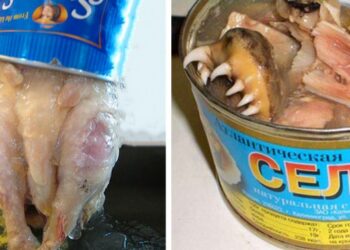 18 ételborzalom, amelyet valahol a világban tényleg megesznek az emberek