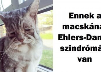 15 ritka felvétel, mely nélkül a világról alkotott képed hiányos lenne