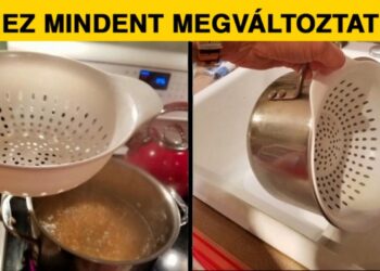 14 érdekes felfedezés, mely vagy egy oltári szenzáció vagy a világ legnagyobb hülyesége