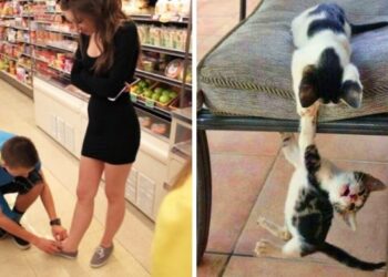 20 intenzív fénykép, mely igazolja, hogy a dráma mindig körülöttünk van