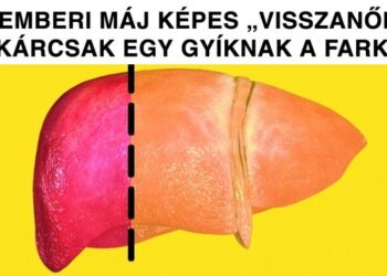 8 izgalmas tény, mely igazolja, hogy egy kicsit mindannyian szuperhősök vagyunk