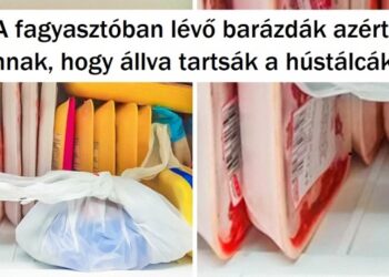 11 felfedezés internetezőktől, amiről minden embernek tudnia kell