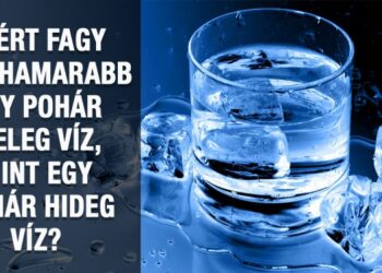 6 egyszerűnek tűnő kérdés, mely hallatán a tudósok a mai napig a fejüket vakarják