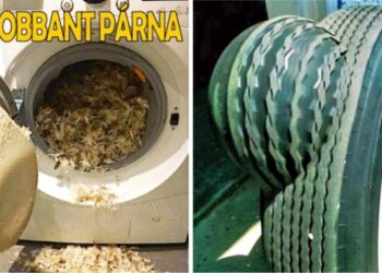 16 pórul járt szerencsétlen, akiknek sikerült a rövidebbet húzniuk