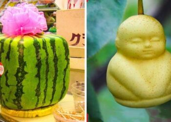 A világ 10 legdrágább gyümölcse, amelyet nem valószínű, hogy valaha is megkóstolhatunk majd életünk során