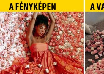 20 fotós, akik bebizonyították, hogy az ötletes fényképekhez nincs szükség Photoshopra