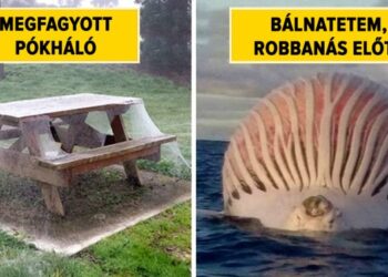 Ausztrália a ‘húzzunk innen, de marha gyorsan’ hazája, és ezt 30 képpel is bizonyítjuk