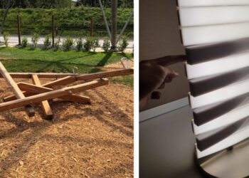 20 izgalmas kép, amely egyszerre lep meg, és árul el valami újat a világról