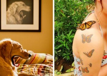 21 bámulatos véletlen, mikor a művészet és a való élet találkozott egymással