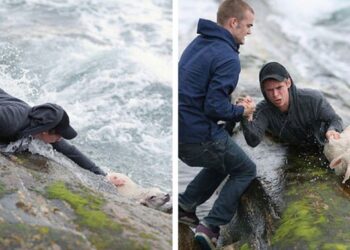 10 személy, aki bebizonyította, hogy nem csak a filmekben léteznek hősök