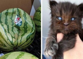 10 különleges természeti jelenség, amelyre nagyjából annyi esély volt, mint élő egyszarvúval találkozni