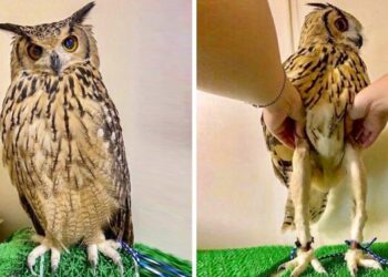 10 legérdekesebb internetes felfedezés, amelyektől nem fogsz tudni aludni