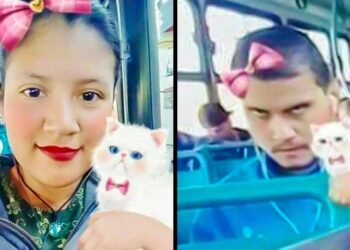 20 fotóbomba, mely kigyógyít az unalom világából