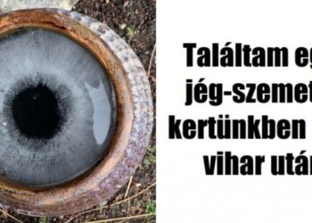 22 hipnotikus felvétel, mely a bolondját járatja az agyaddal