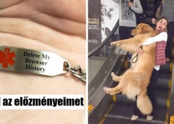 22 személy, aki sajátos fontossági sorrend szerint éli az életét