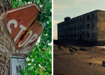 23 alkalom, mikor a természet megnyerte a harcot a civilizáció ellen