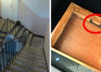 21 személy, akit még a legegyszerűbb feladattal sem lehet megbízni