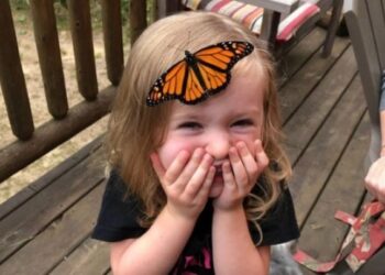 20 kép, amelyet az orvosoknak receptre kellene írniuk őszi melankólia ellen