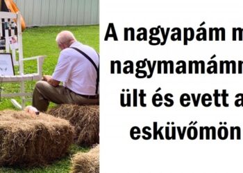 20 megható fénykép, ami azonnal megérinti a szívedet