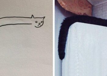 A tanárod azt mondta, hogy nem tudsz macskát rajzolni? Mutasd meg neki ezeket a képeket