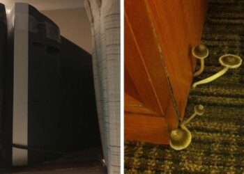 15 kellemetlen meglepetés, amely a hotelek gyönyörű reklámfotói mögött rejtőzött